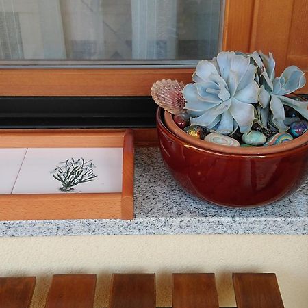 Apartment Aquileia プーラ エクステリア 写真